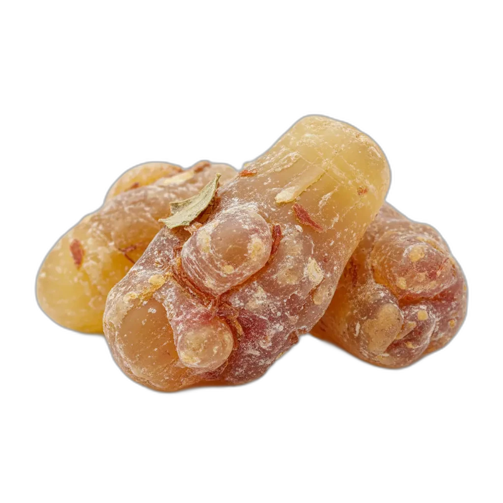 Boswellia serrata — promove bem-estar articular